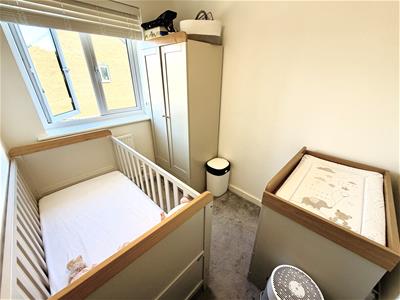 Picture 12